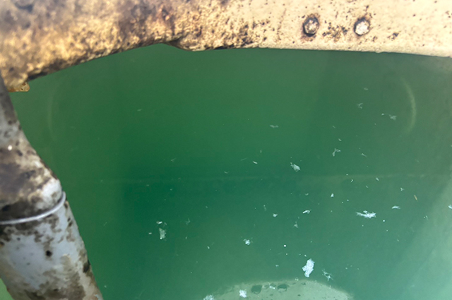 衛生＆効率改善・貯水槽（チラー）のバイオスケール除去