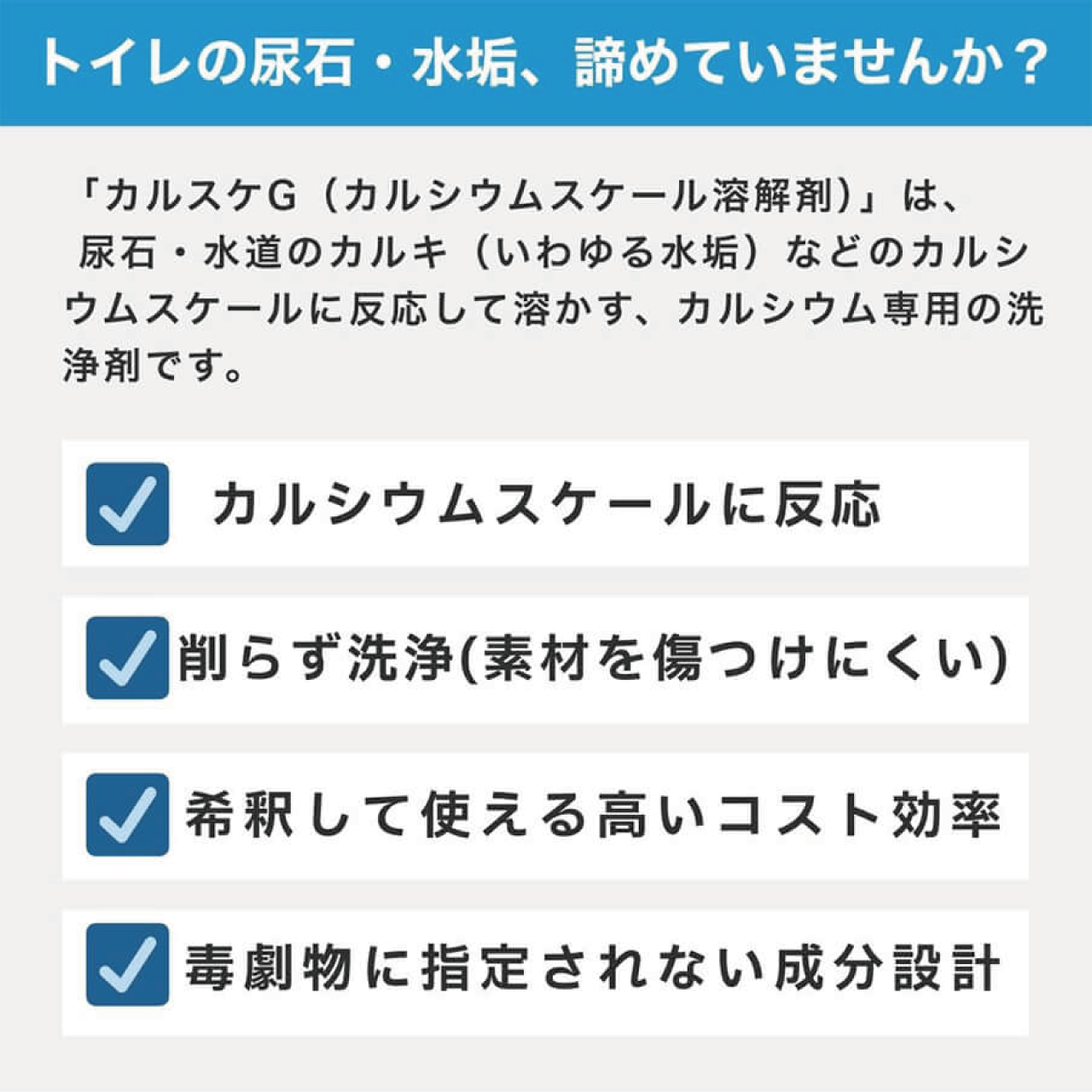 カルシウムスケール溶解剤　カルスケG