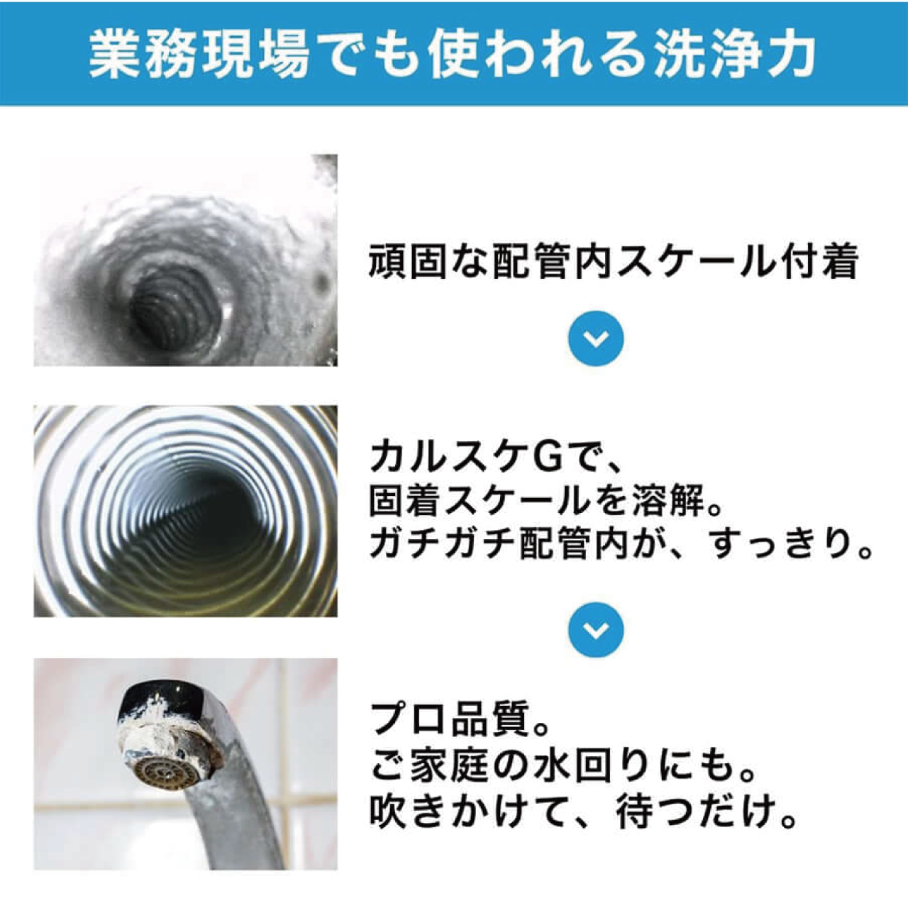 カルシウムスケール溶解剤　カルスケG