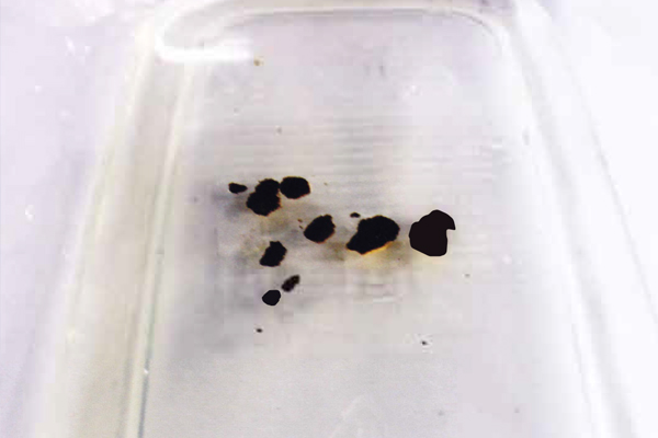 シリカルG｜シリカ系スケール剥離剤