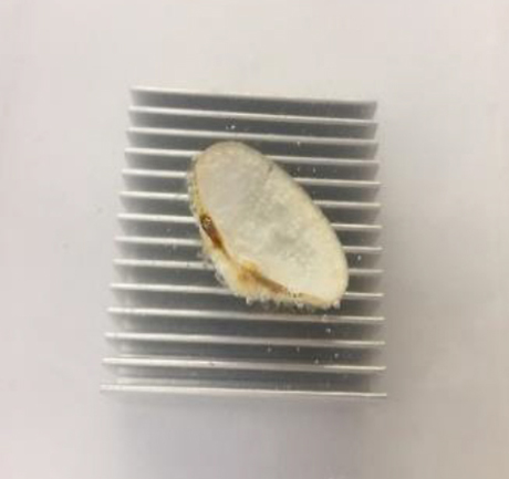 シリカルA｜シリカスケール剥離剤（アルミ用）